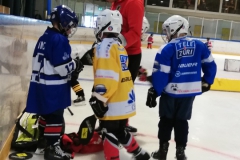 Sommercamp-Grizzly-und-EHC-Kloten-1