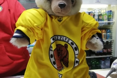 Grizzlybär-2