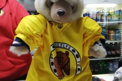 Grizzlybär-3