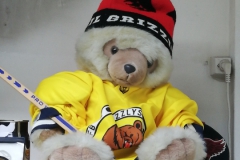 Grizzlybär-6