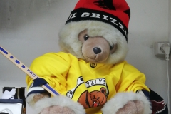 Grizzlybär-7