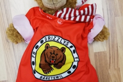 Grizzlybär-8