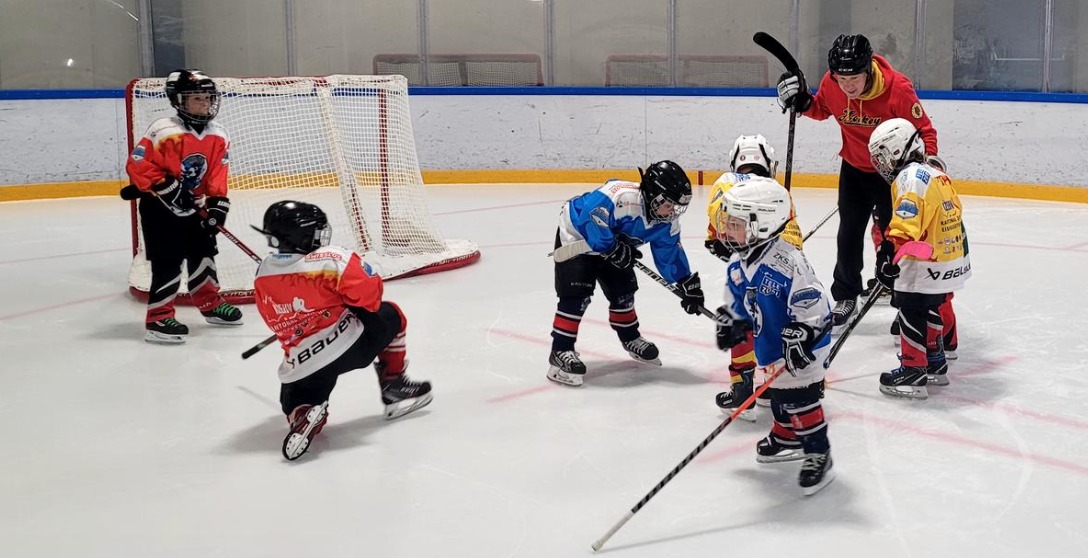 Fortuna Bäretswil Grizzlys
